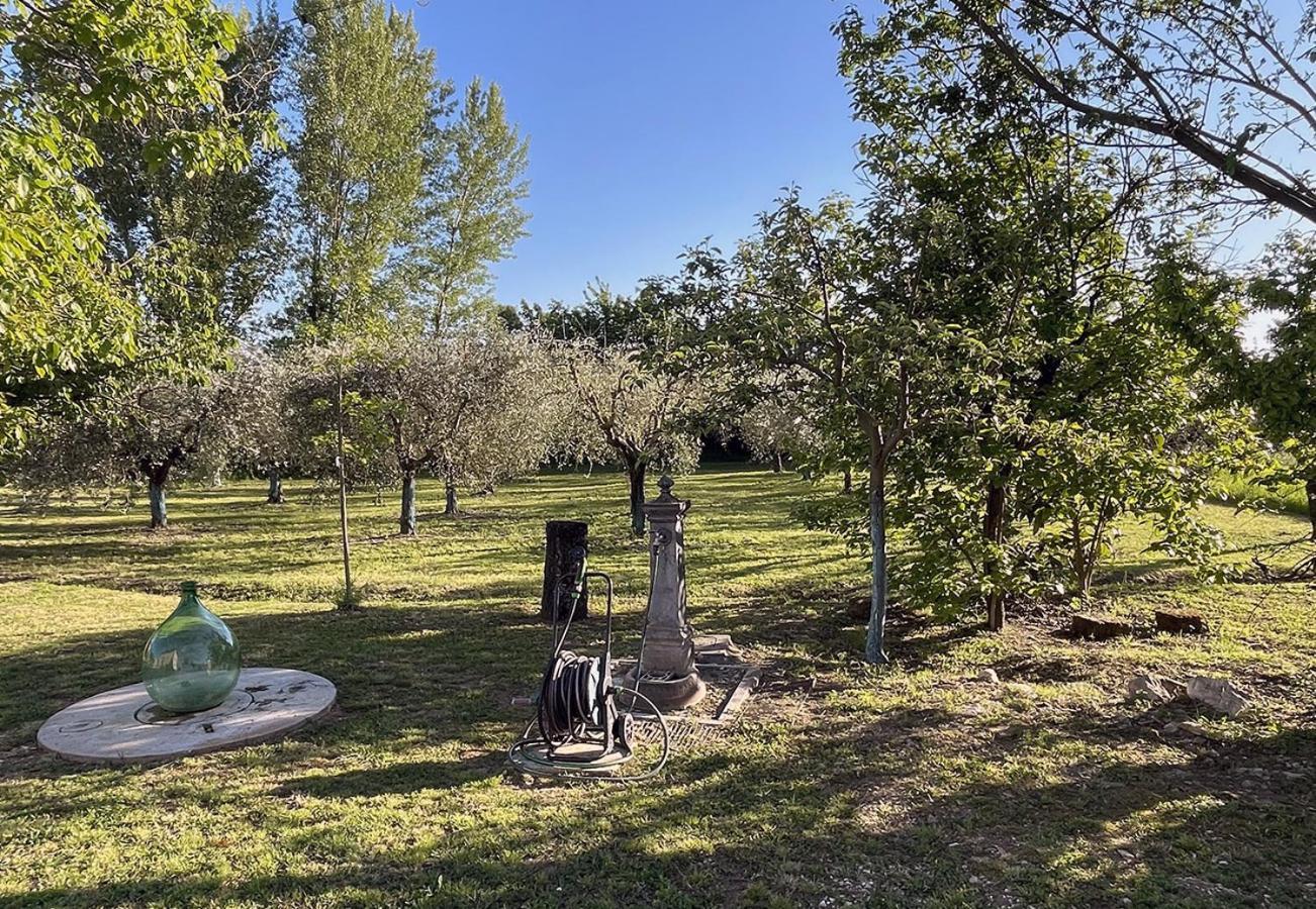 Ca Di Milla B&B Assisi Exterior photo