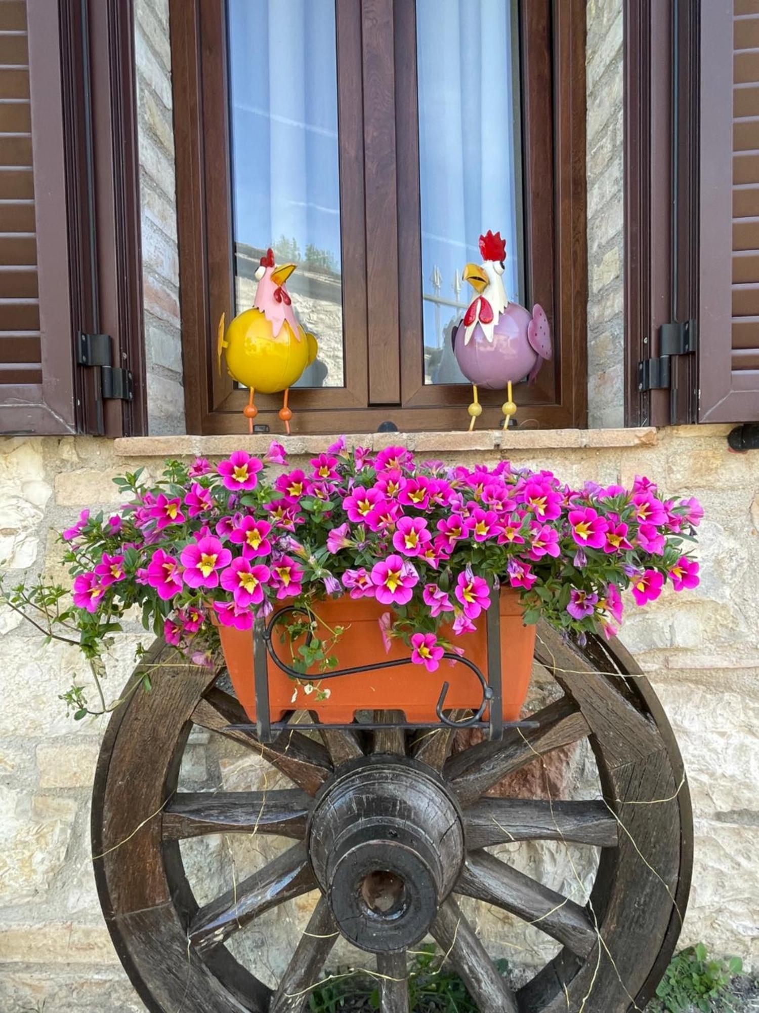 Ca Di Milla B&B Assisi Exterior photo